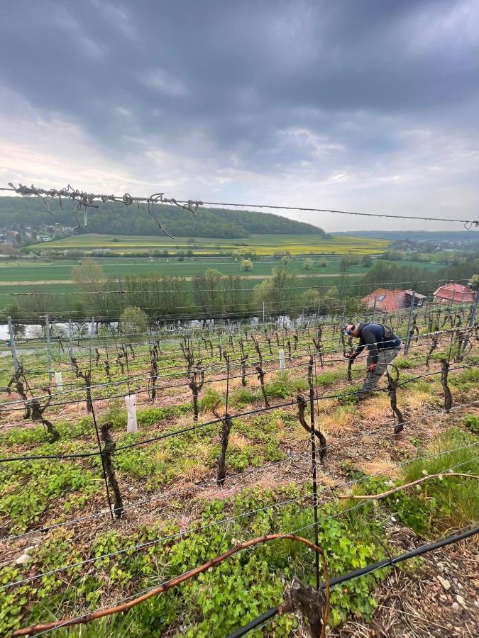 Ferienhaus Traminer Im Weinberg Freyburg Exterior foto